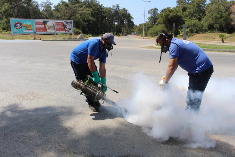 Antalya’nın tüm ilçelerinde haşereyle mücadele sürüyor